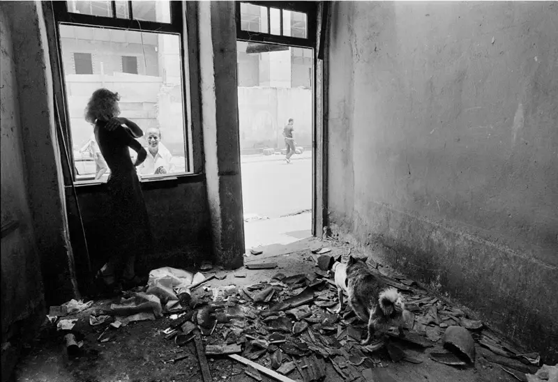 Ambiente interno destruído com mulher olhando pela janela e cachorro sentado no chão.