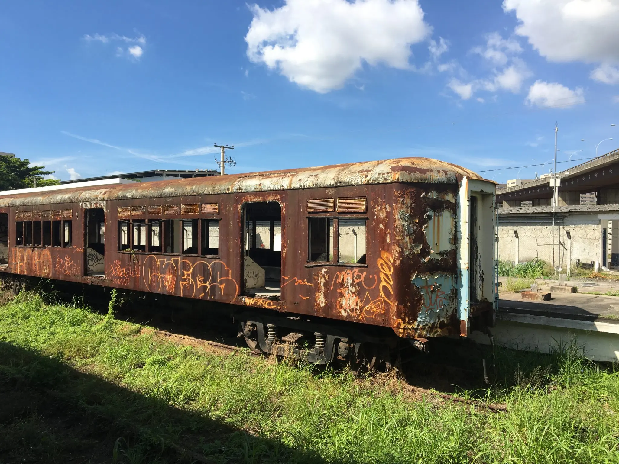 Trem abandonado e deteriorado em meio à natureza.