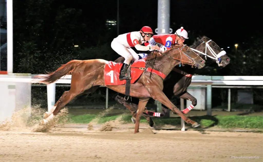 Cavalo correndo em corrida noturna com jockey branco e vermelho.