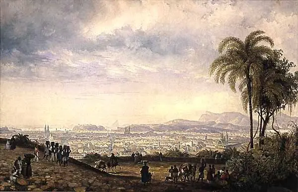 Paisagem urbana com colina, palmeiras, cidade densa e montanha coberta de vegetação.