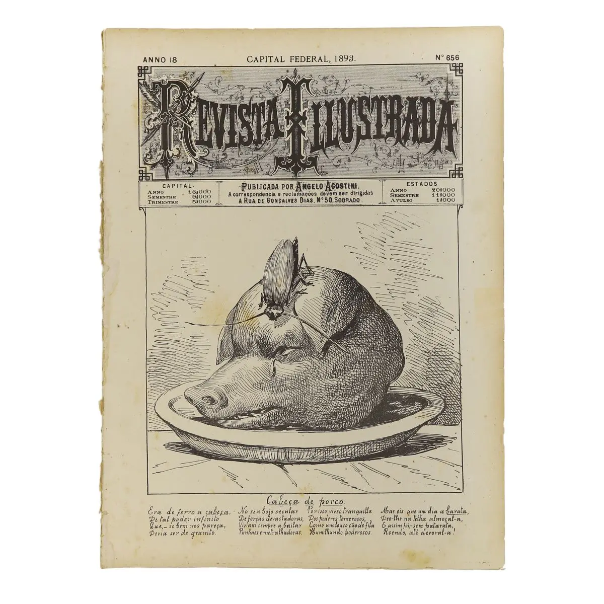 Gravura preto e branco de porco em prato, revista "Revista Ilustrada".