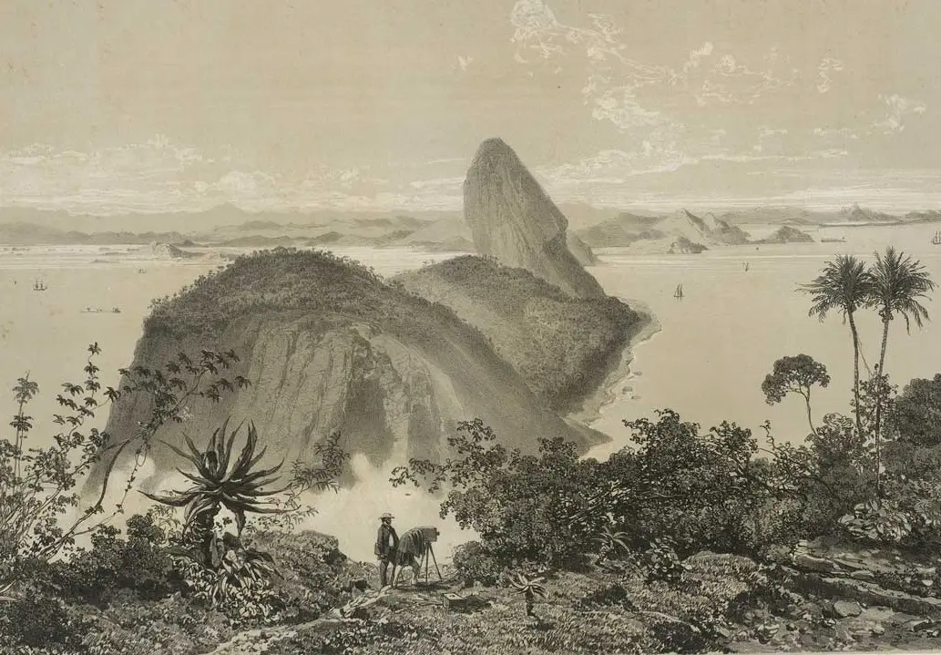 Gravura em preto e branco de paisagem natural com montanhas, praia, formação rochosa, palmeiras e câmera.