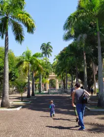 Parque com palmeiras, pessoas caminhando e prédio clássico.