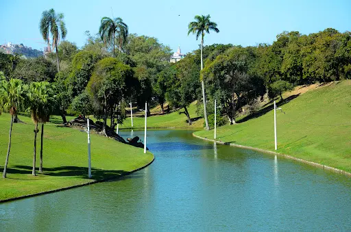 Parque com lago, palmeiras e colina verde.