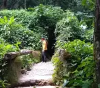Pessoas caminhando em floresta densa.