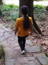 Pessoas caminhando em floresta, trilha de pedras e folhas secas.