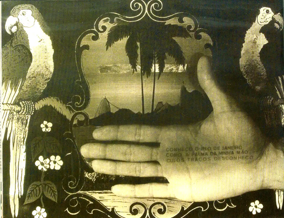 Gravura preto e branco com papagaios e paisagem litorânea.