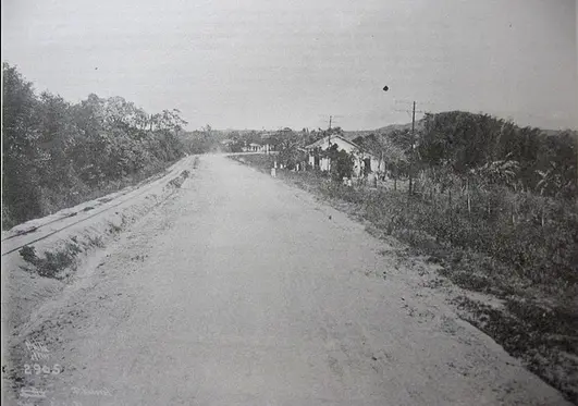 Estrada rural com casa isolada e vegetação densa.