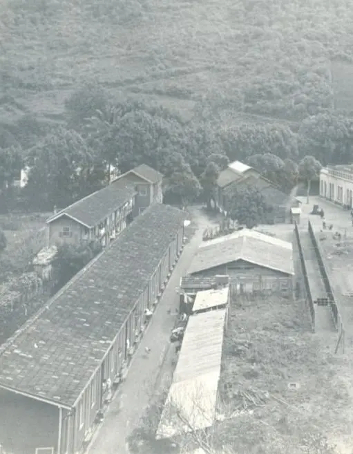 Vila operária em preto e branco, construções variadas e verde ao fundo.