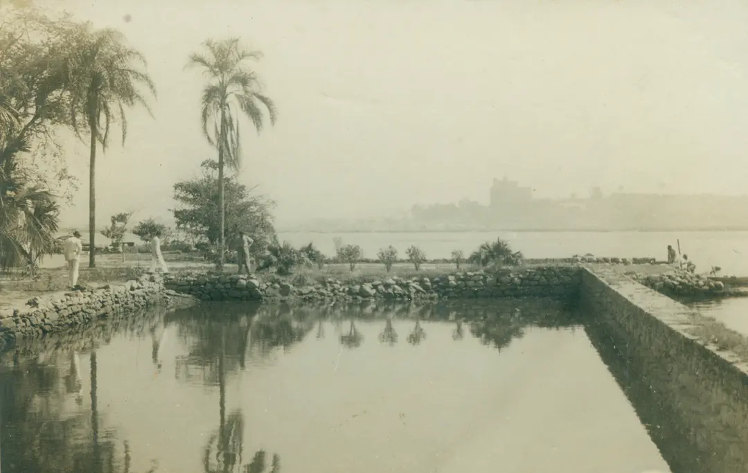 Área ao ar livre com lago, árvores e pessoas caminhando.