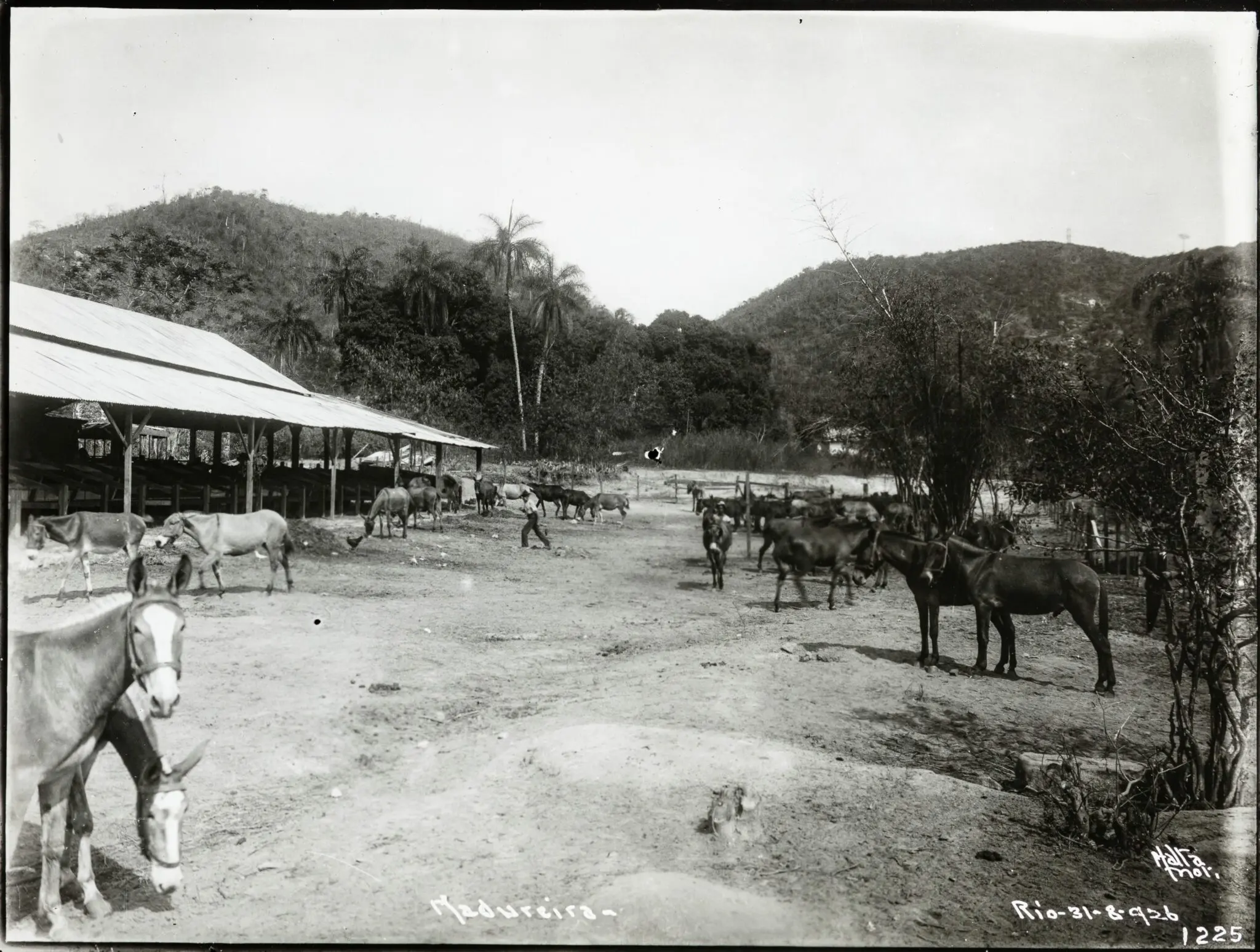 Imagem rural antiga com cabanas, animais e montanhas.