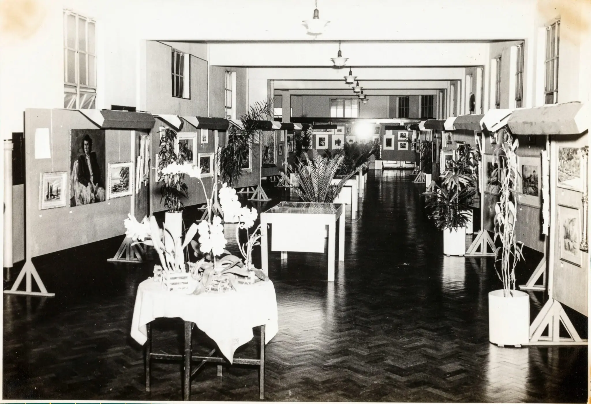 Exposição de arte em salão com obras de arte e plantas.