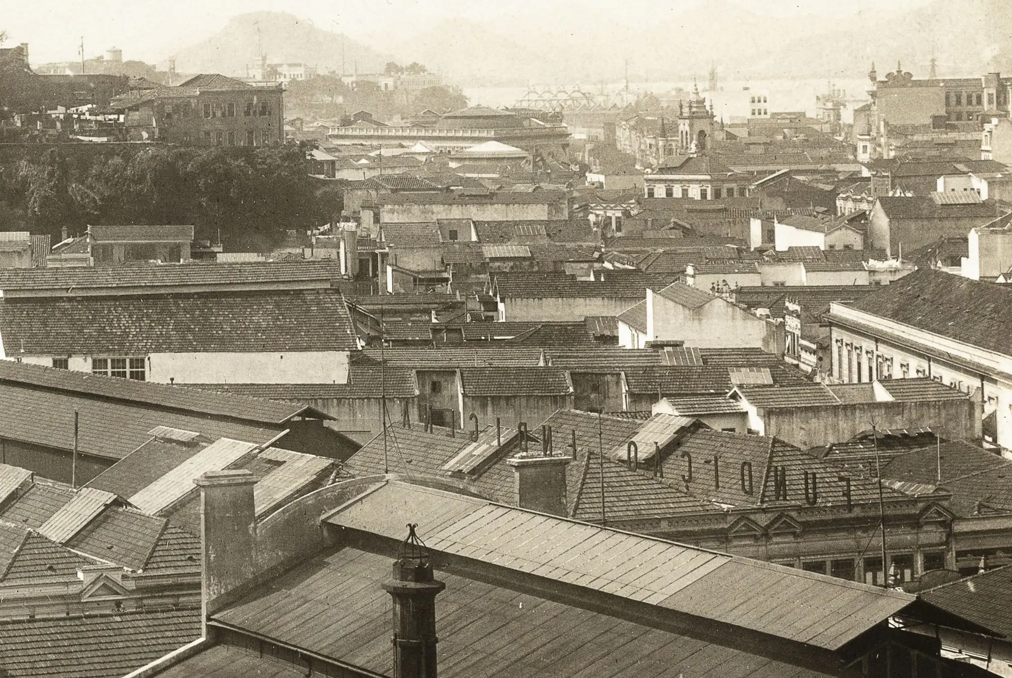 Cidade em preto e branco com edifícios e vegetação.