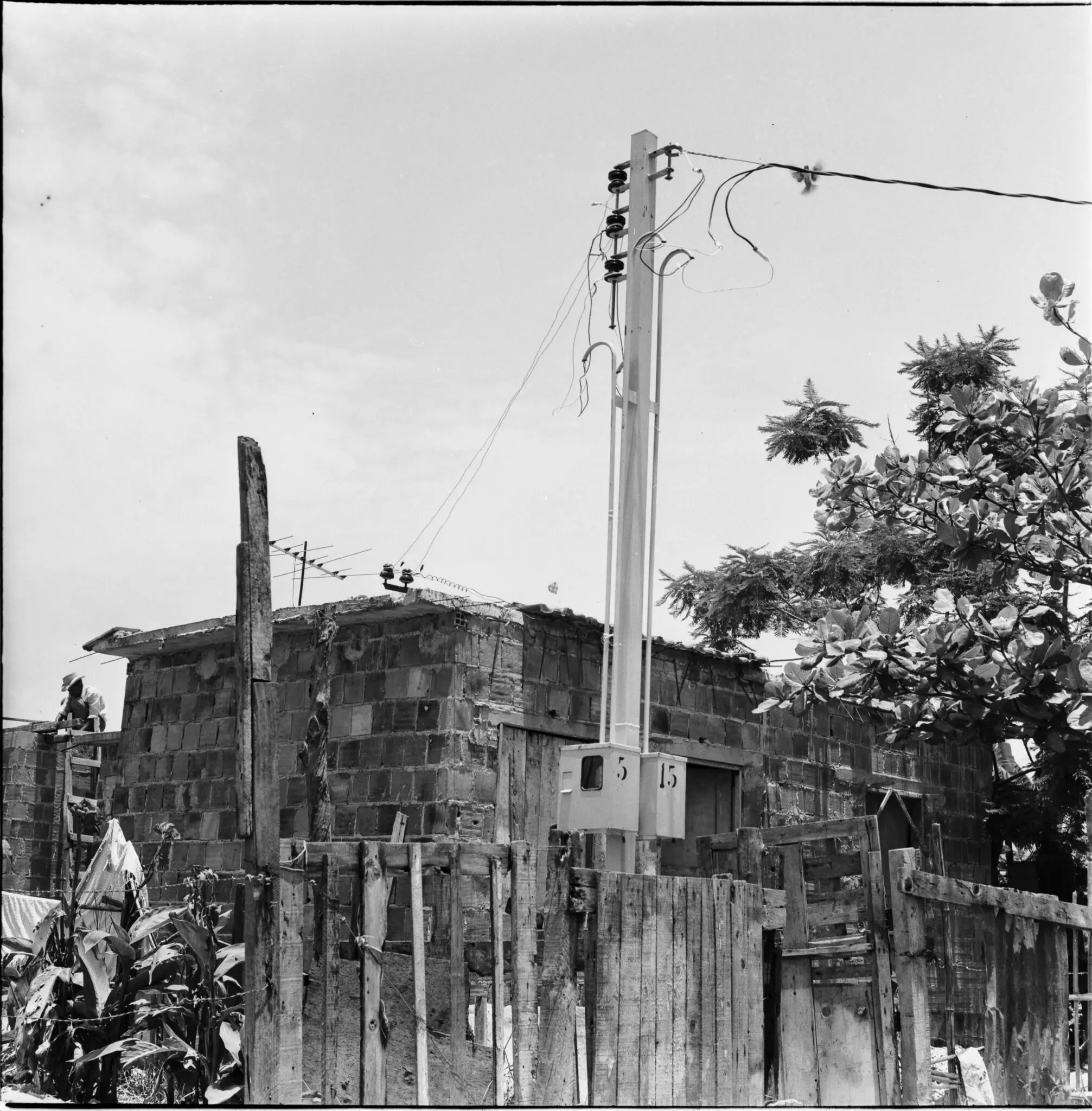 Uma cena urbana preto e branco com edifício, poste de eletricidade, árvore e cercado de madeira.