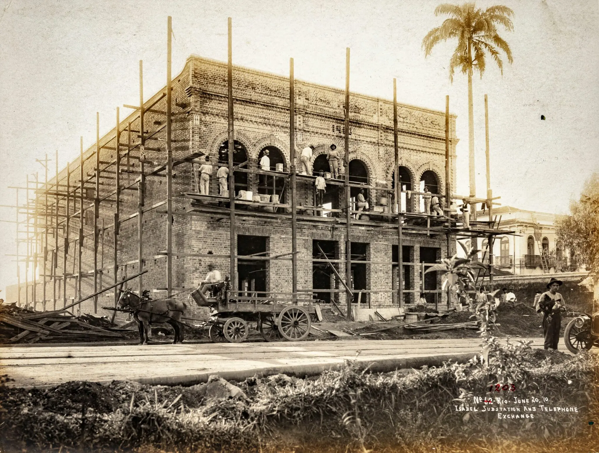 Edifício em construção com trabalhadores e palmeira.