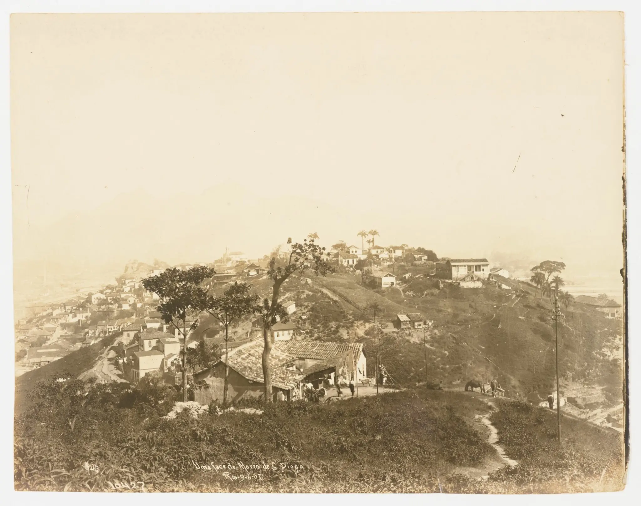Cidade montanhosa em preto e branco, com casas e palmeiras.