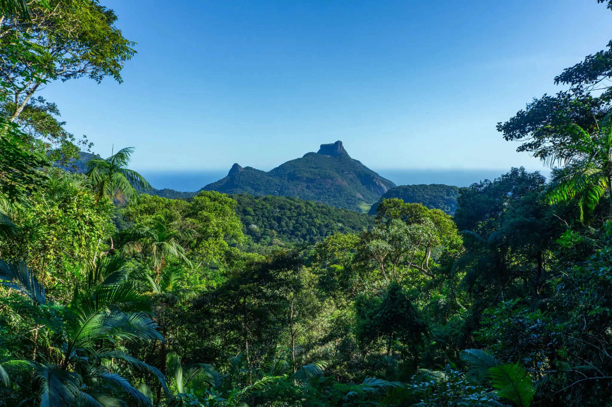Maciço montanhoso coberto por floresta tropical, com árvores verdes e elevação rochosa.