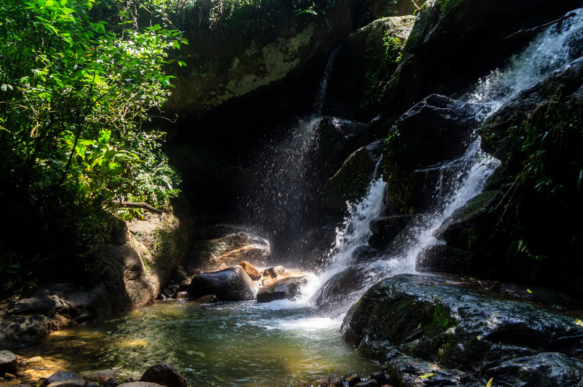 Cascata em floresta densa, rochas e vegetação verde.