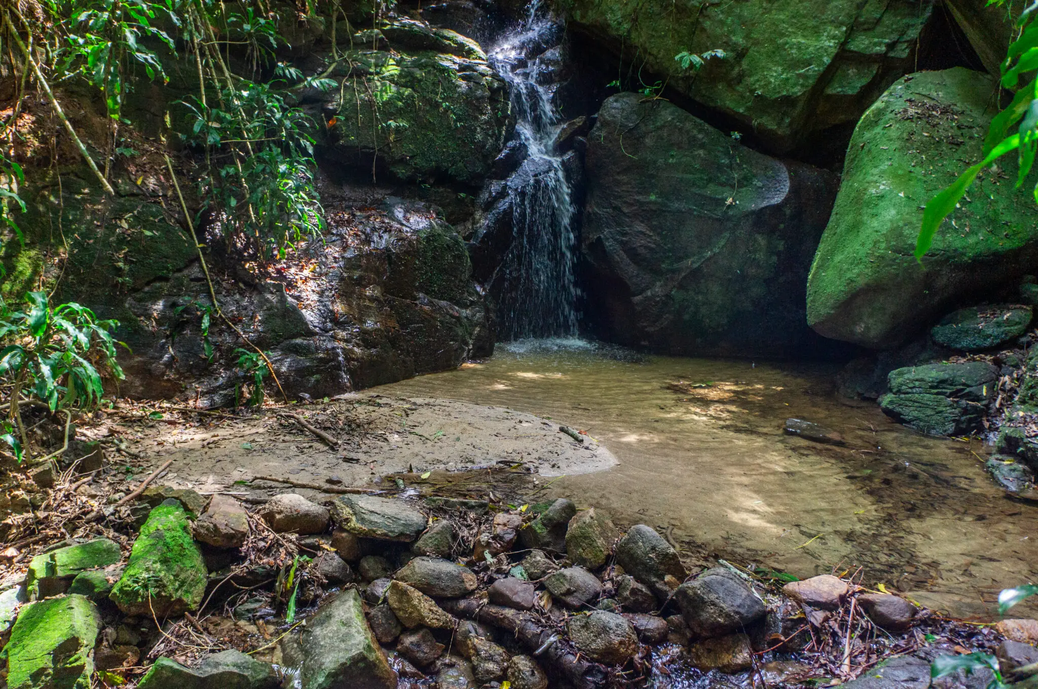 Cascata em floresta, rochas e vegetação verde.