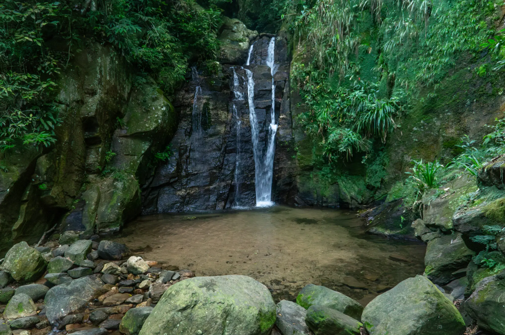 Cachoeira em floresta com rochas e vegetação.