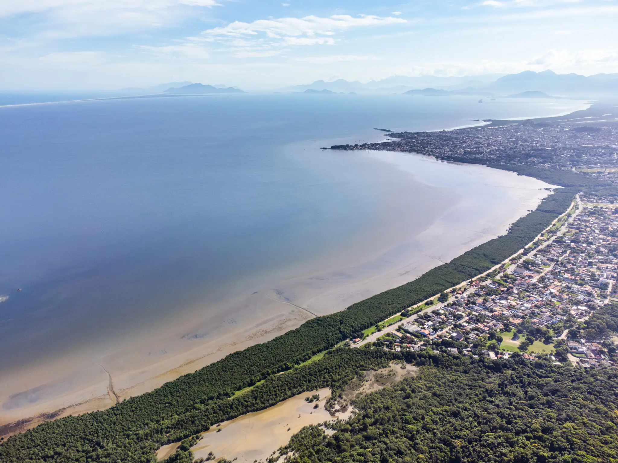 Praia com areia clara, mangueira verde e área urbana.