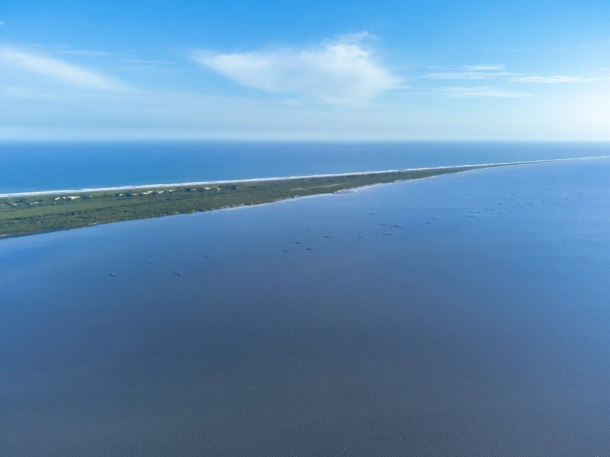 Paisagem costeira com vegetação verde e dunas de areia ao fundo.
