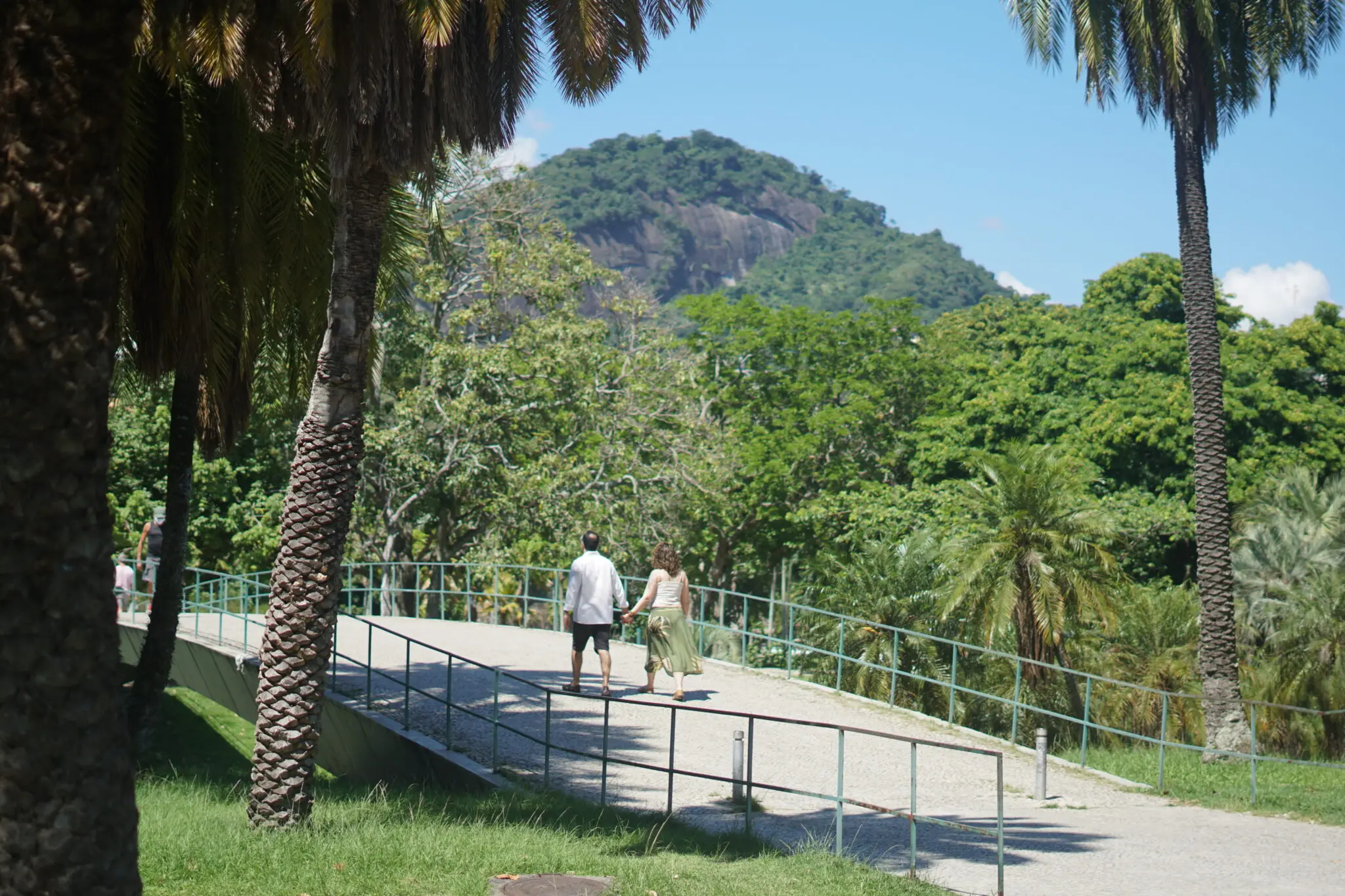 Parque com palmeiras, caminhos e colina verde.