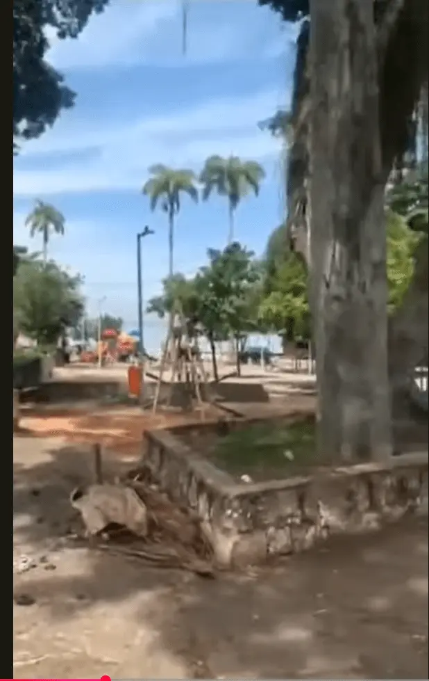 Área verde com árvores, playground e tronco de árvore.