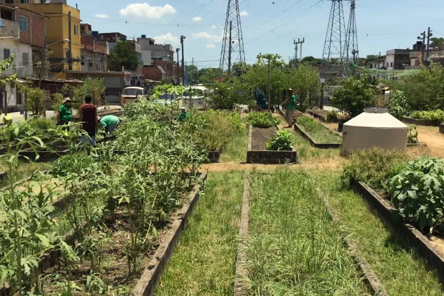 Horta comunitária em espaço aberto com pessoas trabalhando.